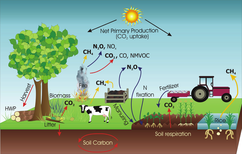 Graphic showing the sources of greenhouse gases like fossil fuel combustion, agriculture.