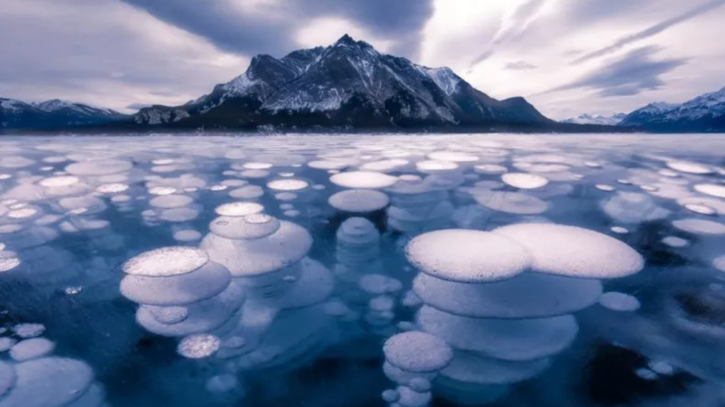 Methane bubbles beneath the ice in a thawing Arctic lake, showing greenhouse gas release from thawing permafrost.