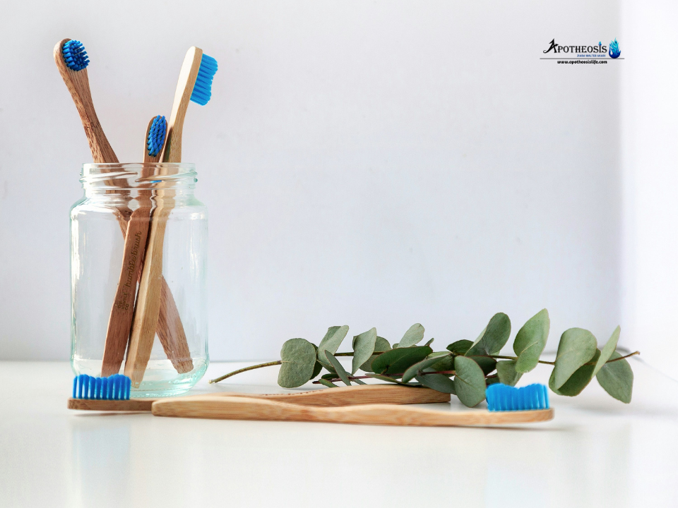 Bamboo toothbrushes on a natural background, showcasing real sustainability efforts in everyday products.