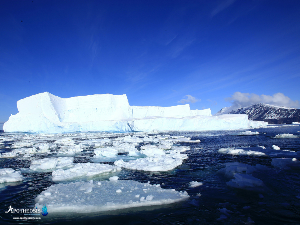 Thawing permafrost with melting ice and thermokarst lakes in the Arctic.