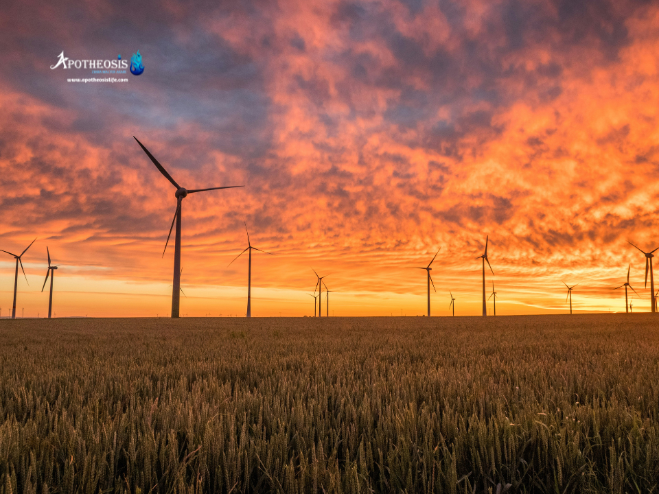 Wind turbines rotating in a field at sunset, illustrating the role of wind power in the Clean Energy transition.