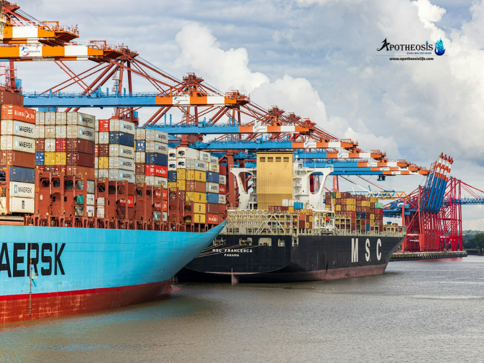 Cargo ships and cranes loading containers at a busy port, illustrating the global logistics backbone of sustainable supply chains.