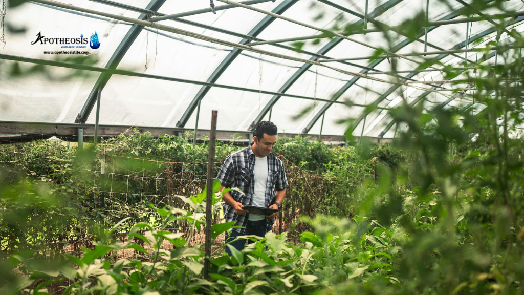 Person using a tablet inside a greenhouse to monitor crops, highlighting how sustainable farming contributes to low‑carbon practices across global supply chains.
