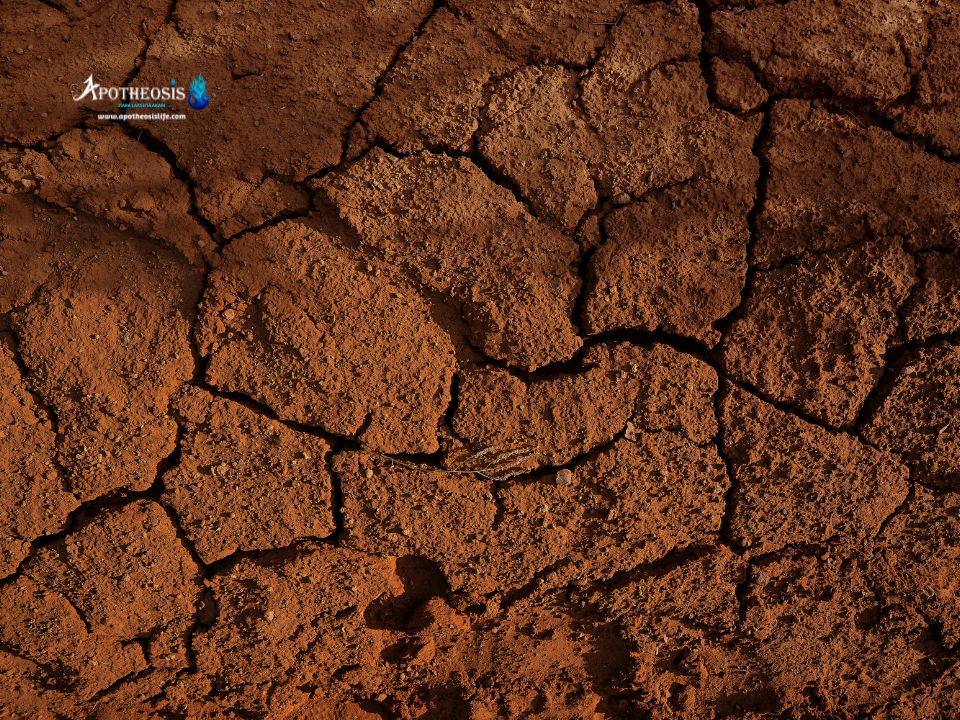 Dry, cracked earth illustrating the environmental effects of Groundwater Depletion.