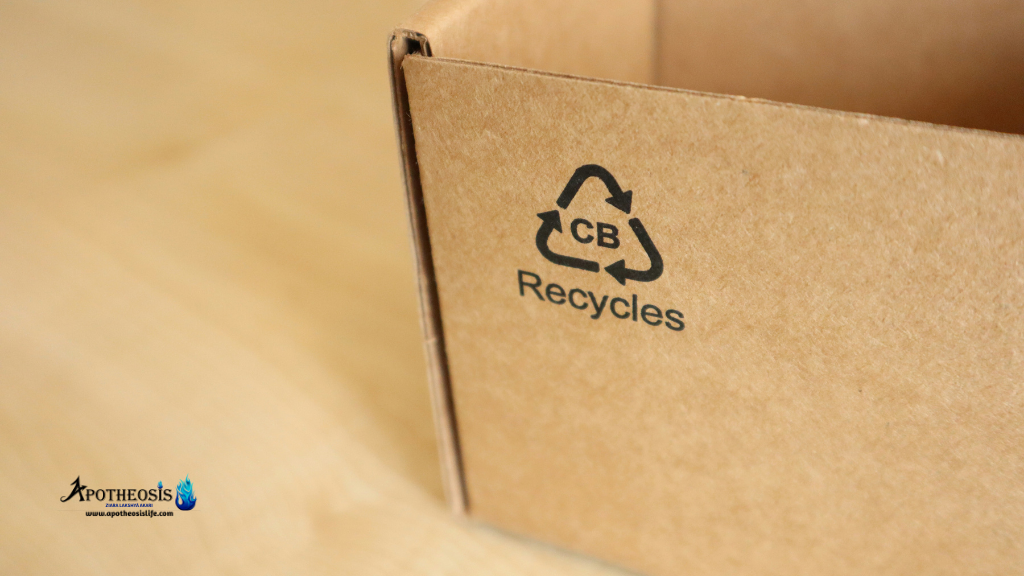 Close up of a cardboard box with a recycling symbol, illustrating Green Supply Chains and circular packaging practices.